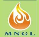 Maharashtra Natural Gas Limited-20