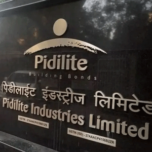 Pidilite-Industries-Logo